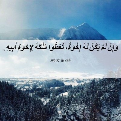 Picture 06 - اَلْعَدَد 27:10 AVD - وَإِنْ لَمْ يَكُنْ لَهُ - Bible Verse Picture
