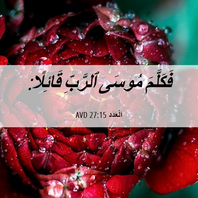 Picture 06 - اَلْعَدَد 27:15 AVD - فَكَلَّمَ مُوسَى ٱلرَّبِّ - Bible Verse Picture