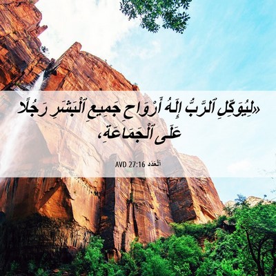 Picture 06 - اَلْعَدَد 27:16 AVD - «لِيُوَكِّلِ ٱلرَّبُّ - Bible Verse Picture