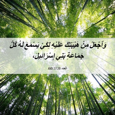 Picture 06 - اَلْعَدَد 27:20 AVD - وَٱجْعَلْ مِنْ هَيْبَتِكَ - Bible Verse Picture