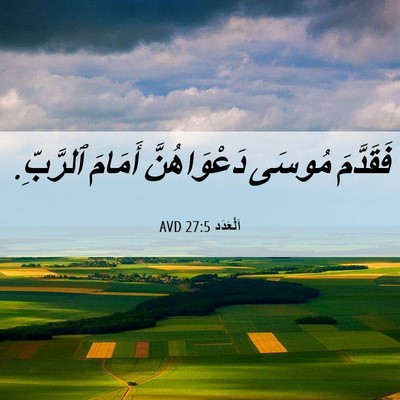 Picture 06 - اَلْعَدَد 27:5 AVD - فَقَدَّمَ مُوسَى - Bible Verse Picture