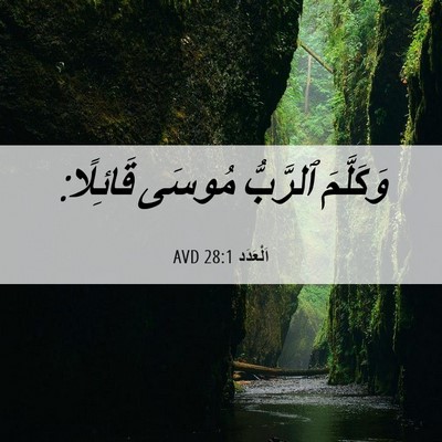 Picture 06 - اَلْعَدَد 28:1 AVD - وَكَلَّمَ ٱلرَّبُّ مُوسَى - Bible Verse Picture