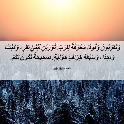 Picture 06 - اَلْعَدَد 28:19 AVD - وَتُقَرِّبُونَ وَقُودًا - Bible Verse Picture