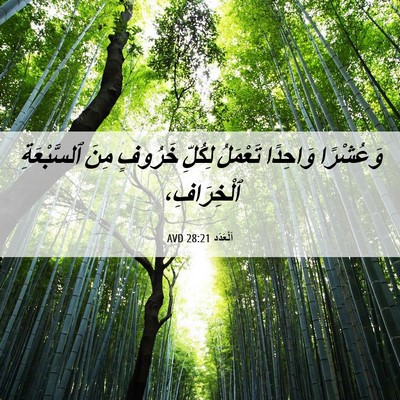 Picture 06 - اَلْعَدَد 28:21 AVD - وَعُشْرًا وَاحِدًا - Bible Verse Picture