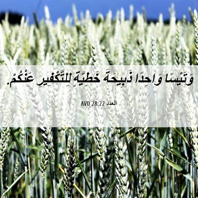 Picture 06 - اَلْعَدَد 28:22 AVD - وَتَيْسًا وَاحِدًا - Bible Verse Picture
