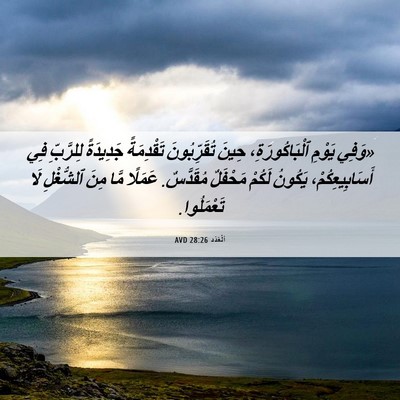 Picture 06 - اَلْعَدَد 28:26 AVD - «وَفِي يَوْمِ - Bible Verse Picture