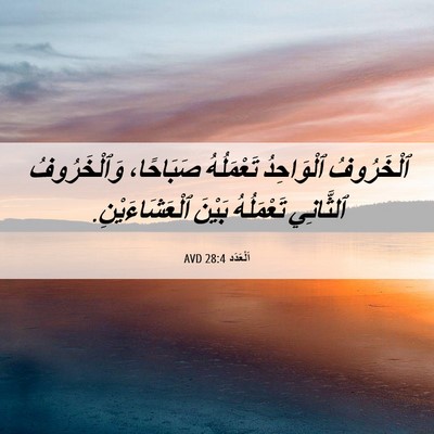 Picture 06 - اَلْعَدَد 28:4 AVD - ٱلْخَرُوفُ ٱلْوَاحِدُ - Bible Verse Picture