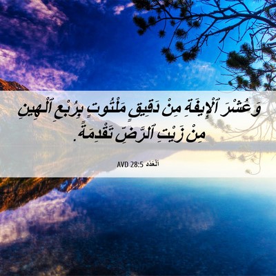 Picture 06 - اَلْعَدَد 28:5 AVD - وَعُشْرَ ٱلْإِيفَةِ مِنْ - Bible Verse Picture