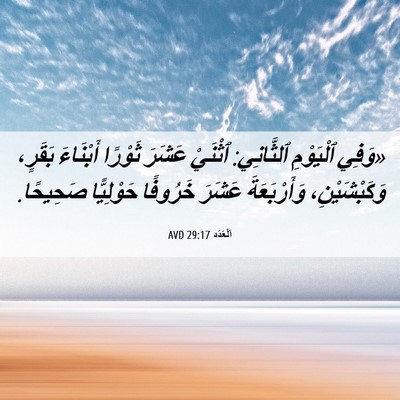 Picture 06 - اَلْعَدَد 29:17 AVD - «وَفِي ٱلْيَوْمِ - Bible Verse Picture