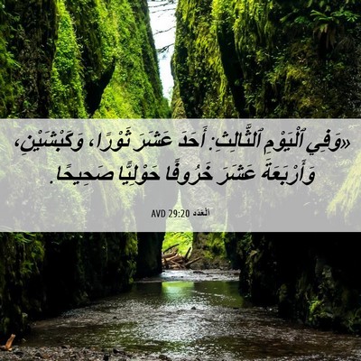 Picture 06 - اَلْعَدَد 29:20 AVD - «وَفِي ٱلْيَوْمِ - Bible Verse Picture