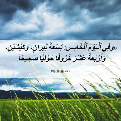 Picture 06 - اَلْعَدَد 29:26 AVD - «وَفِي ٱلْيَوْمِ - Bible Verse Picture