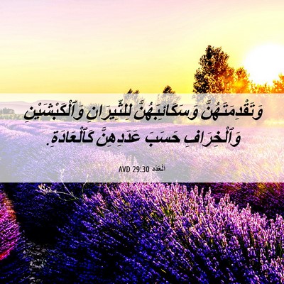 Picture 06 - اَلْعَدَد 29:30 AVD - وَتَقْدِمَتَهُنَّ - Bible Verse Picture