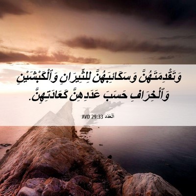 Picture 06 - اَلْعَدَد 29:33 AVD - وَتَقْدِمَتَهُنَّ - Bible Verse Picture