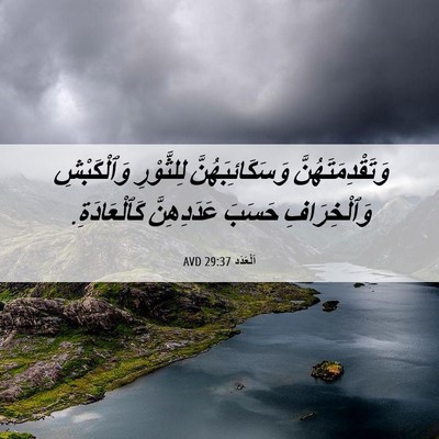 Picture 06 - اَلْعَدَد 29:37 AVD - وَتَقْدِمَتَهُنَّ - Bible Verse Picture