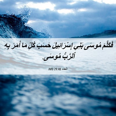 Picture 06 - اَلْعَدَد 29:40 AVD - فَكَلَّمَ مُوسَى بَنِي - Bible Verse Picture