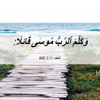 Picture 06 - اَلْعَدَد 3:11 AVD - وَكَلَّمَ ٱلرَّبُّ مُوسَى - Bible Verse Picture