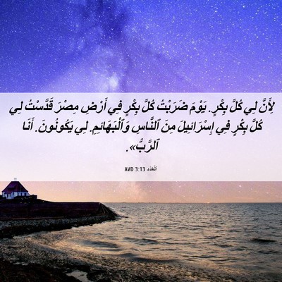 Picture 06 - اَلْعَدَد 3:13 AVD - لِأَنَّ لِي كُلَّ بِكْرٍ. - Bible Verse Picture