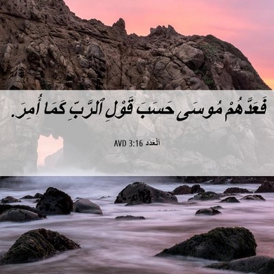 Picture 06 - اَلْعَدَد 3:16 AVD - فَعَدَّهُمْ مُوسَى حَسَبَ - Bible Verse Picture
