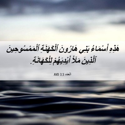 Picture 06 - اَلْعَدَد 3:3 AVD - هَذِهِ أَسْمَاءُ بَنِي - Bible Verse Picture