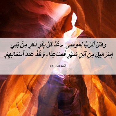 Picture 06 - اَلْعَدَد 3:40 AVD - وَقَالَ ٱلرَّبُّ لِمُوسَى: - Bible Verse Picture
