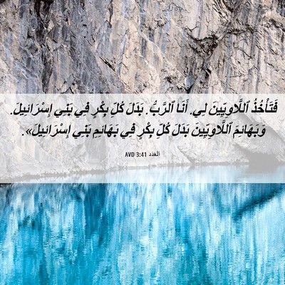 Picture 06 - اَلْعَدَد 3:41 AVD - فَتَأْخُذُ ٱللَّاوِيِّينَ - Bible Verse Picture