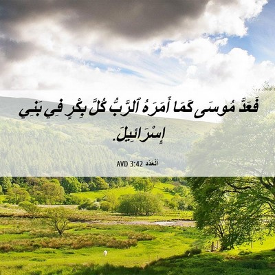 Picture 06 - اَلْعَدَد 3:42 AVD - فَعَدَّ مُوسَى كَمَا - Bible Verse Picture