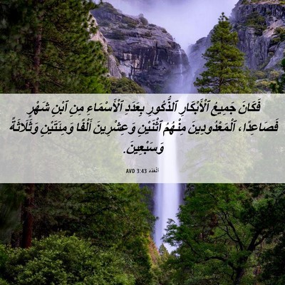 Picture 06 - اَلْعَدَد 3:43 AVD - فَكَانَ جَمِيعُ - Bible Verse Picture