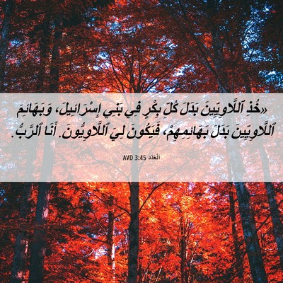Picture 06 - اَلْعَدَد 3:45 AVD - «خُذِ ٱللَّاوِيِّينَ - Bible Verse Picture