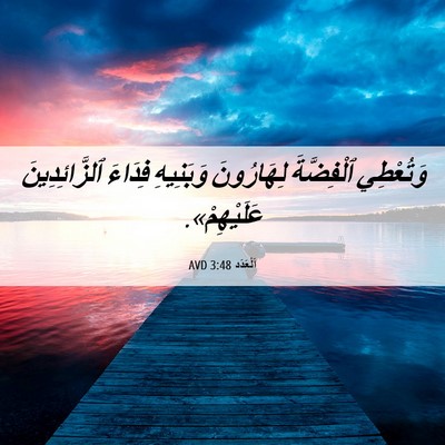 Picture 06 - اَلْعَدَد 3:48 AVD - وَتُعْطِي ٱلْفِضَّةَ - Bible Verse Picture