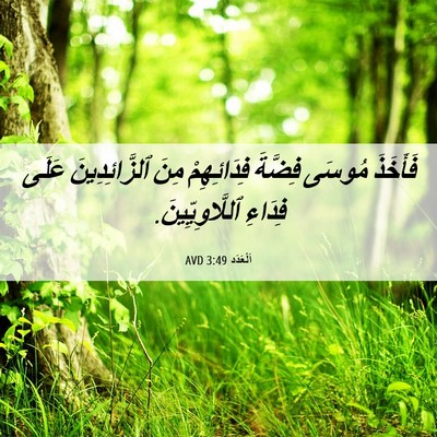 Picture 06 - اَلْعَدَد 3:49 AVD - فَأَخَذَ مُوسَى فِضَّةَ - Bible Verse Picture