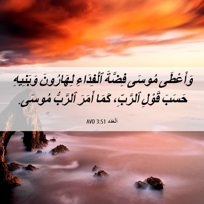 Picture 06 - اَلْعَدَد 3:51 AVD - وَأَعْطَى مُوسَى فِضَّةَ - Bible Verse Picture