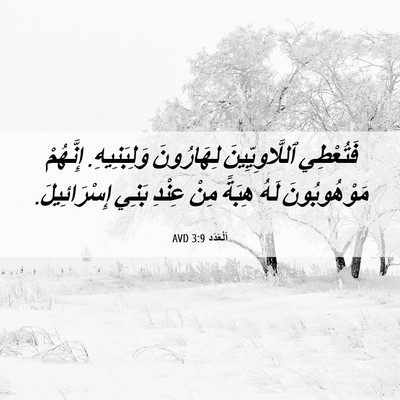 Picture 06 - اَلْعَدَد 3:9 AVD - فَتُعْطِي ٱللَّاوِيِّينَ - Bible Verse Picture