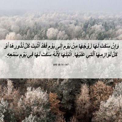Picture 06 - اَلْعَدَد 30:14 AVD - وَإِنْ سَكَتَ لَهَا - Bible Verse Picture