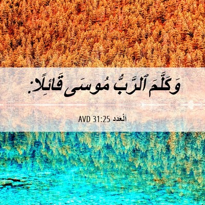 Picture 06 - اَلْعَدَد 31:25 AVD - وَكَلَّمَ ٱلرَّبُّ مُوسَى - Bible Verse Picture