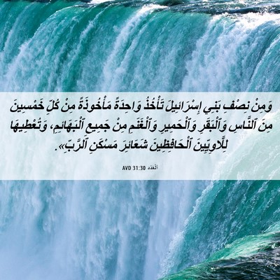 Picture 06 - اَلْعَدَد 31:30 AVD - وَمِنْ نِصْفِ بَنِي - Bible Verse Picture