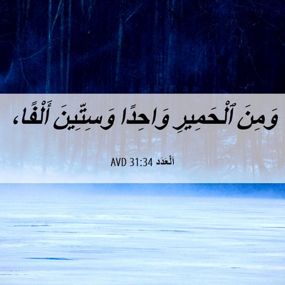 Picture 06 - اَلْعَدَد 31:34 AVD - وَمِنَ ٱلْحَمِيرِ - Bible Verse Picture
