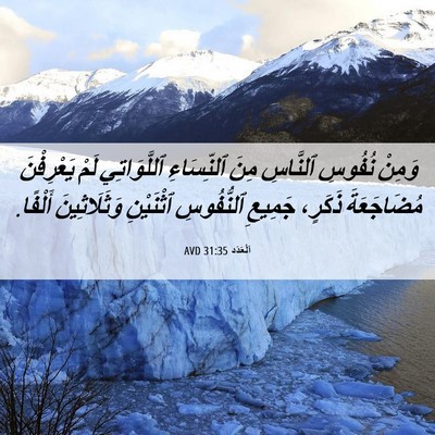 Picture 06 - اَلْعَدَد 31:35 AVD - وَمِنْ نُفُوسِ ٱلنَّاسِ - Bible Verse Picture