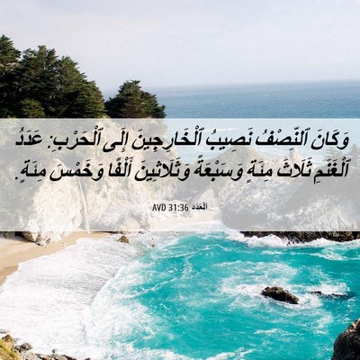 Picture 06 - اَلْعَدَد 31:36 AVD - وَكَانَ ٱلنِّصْفُ نَصِيبُ - Bible Verse Picture