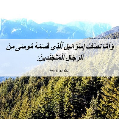 Picture 06 - اَلْعَدَد 31:42 AVD - وَأَمَّا نِصْفُ - Bible Verse Picture