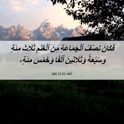 Picture 06 - اَلْعَدَد 31:43 AVD - فَكَانَ نِصْفُ - Bible Verse Picture