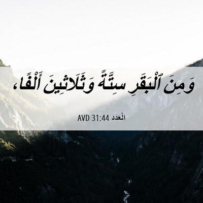 Picture 06 - اَلْعَدَد 31:44 AVD - وَمِنَ ٱلْبَقَرِ سِتَّةً - Bible Verse Picture
