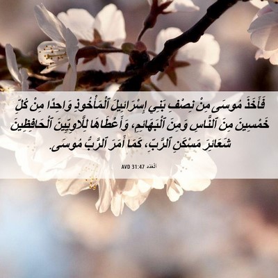 Picture 06 - اَلْعَدَد 31:47 AVD - فَأَخَذَ مُوسَى مِنْ - Bible Verse Picture