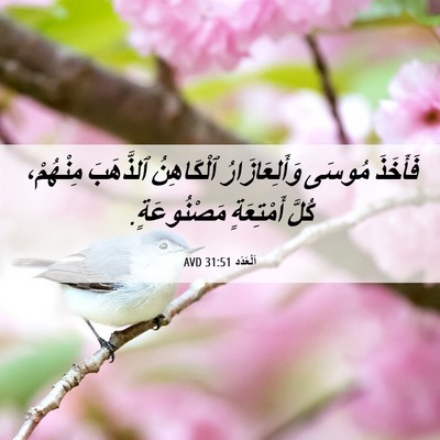 Picture 06 - اَلْعَدَد 31:51 AVD - فَأَخَذَ مُوسَى - Bible Verse Picture