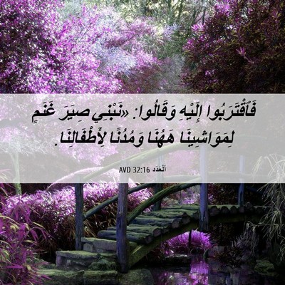 Picture 06 - اَلْعَدَد 32:16 AVD - فَٱقْتَرَبُوا إِلَيْهِ - Bible Verse Picture