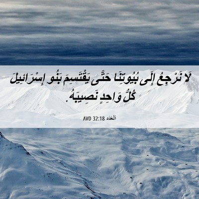 Picture 06 - اَلْعَدَد 32:18 AVD - لَا نَرْجِعُ إِلَى - Bible Verse Picture