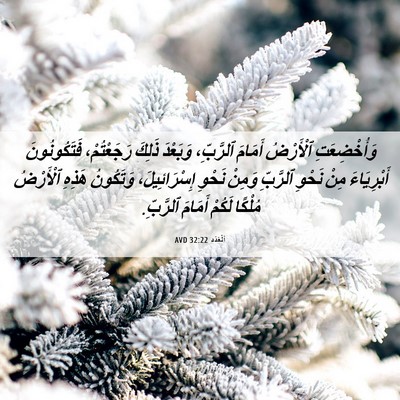 Picture 06 - اَلْعَدَد 32:22 AVD - وَأُخْضِعَتِ ٱلْأَرْضُ - Bible Verse Picture