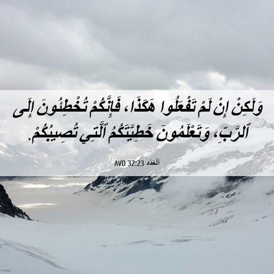 Picture 06 - اَلْعَدَد 32:23 AVD - وَلَكِنْ إِنْ لَمْ - Bible Verse Picture