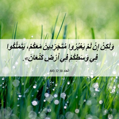 Picture 06 - اَلْعَدَد 32:30 AVD - وَلَكِنْ إِنْ لَمْ - Bible Verse Picture
