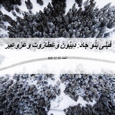 Picture 06 - اَلْعَدَد 32:34 AVD - فَبَنَى بَنُو جَادَ: - Bible Verse Picture