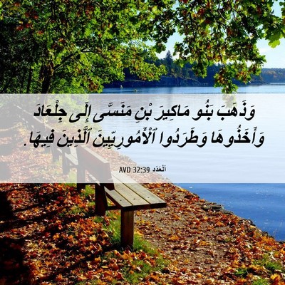 Picture 06 - اَلْعَدَد 32:39 AVD - وَذَهَبَ بَنُو مَاكِيرَ - Bible Verse Picture